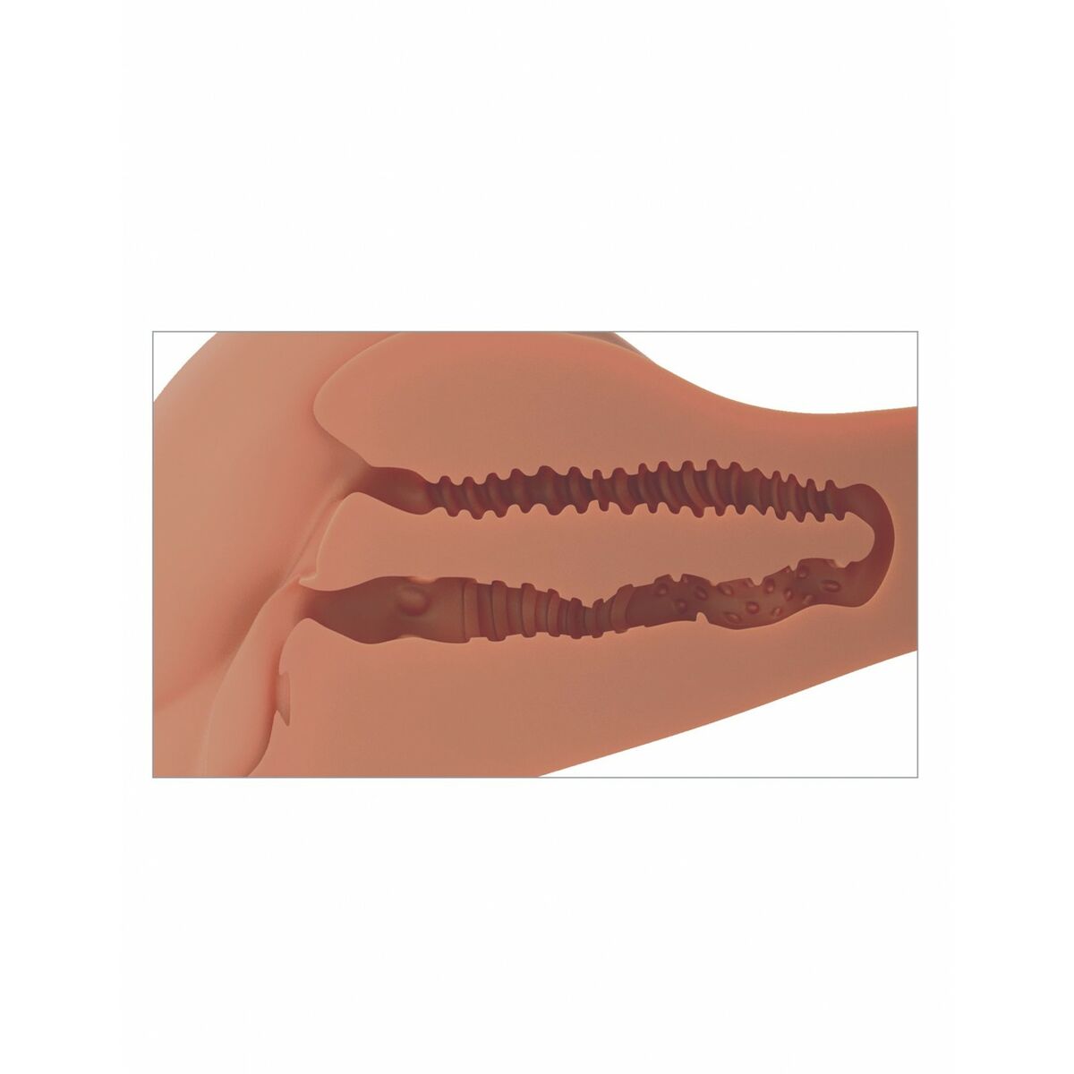 Endurance Jack Ass By Pipedream 360