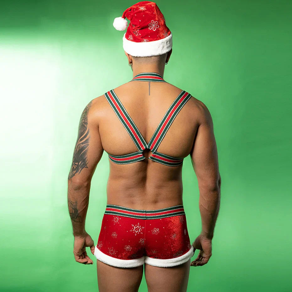 Red Harness & Pants Set Alluring Christmas Cosplay Lingerie