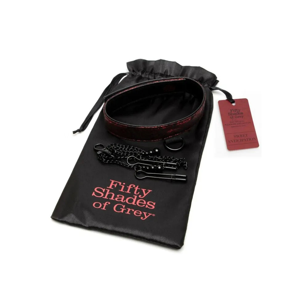 Collar With Nipple Clamps By Fifty Shades Of Grey Sweet