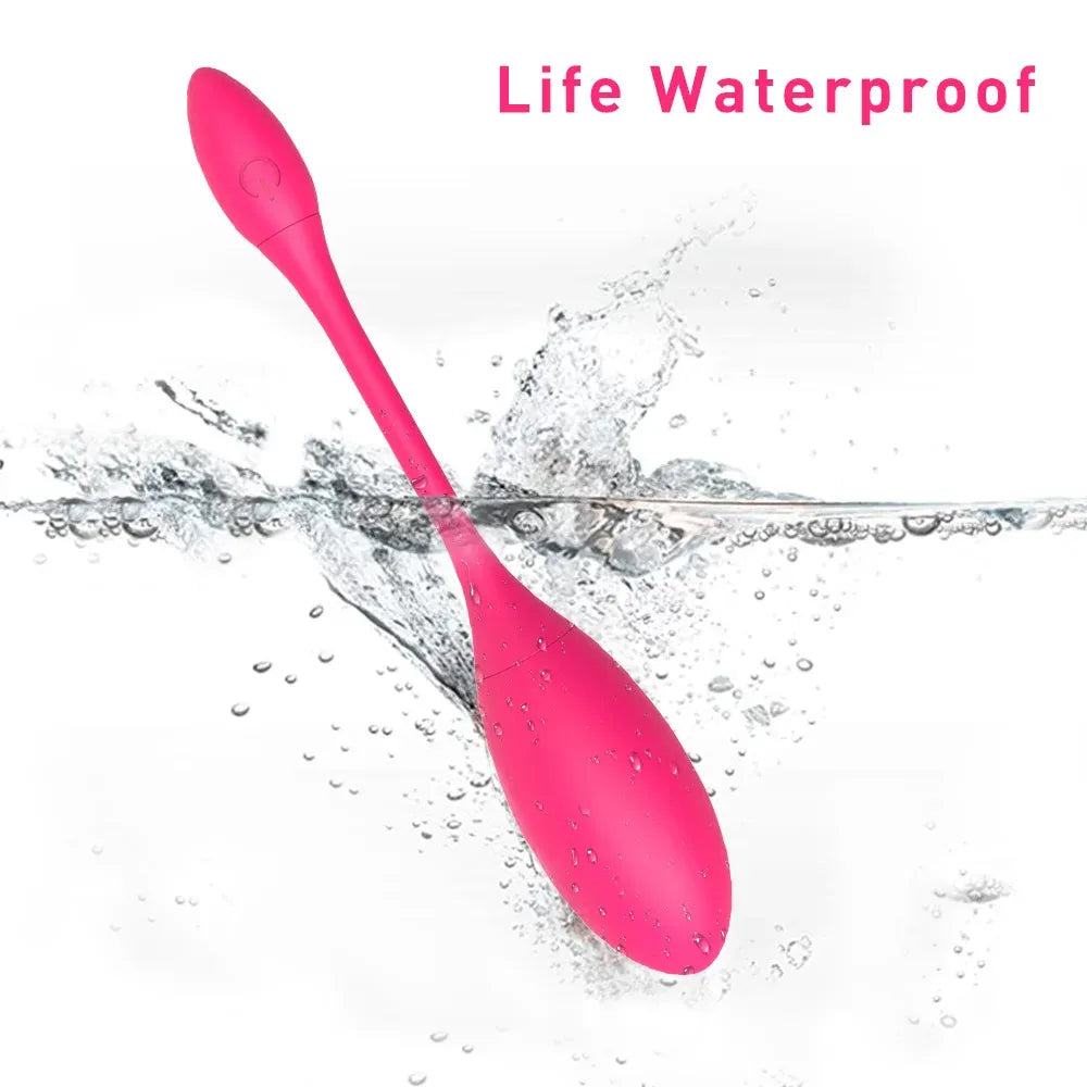 Electric Shock Kegel Ball Vibrator For Women